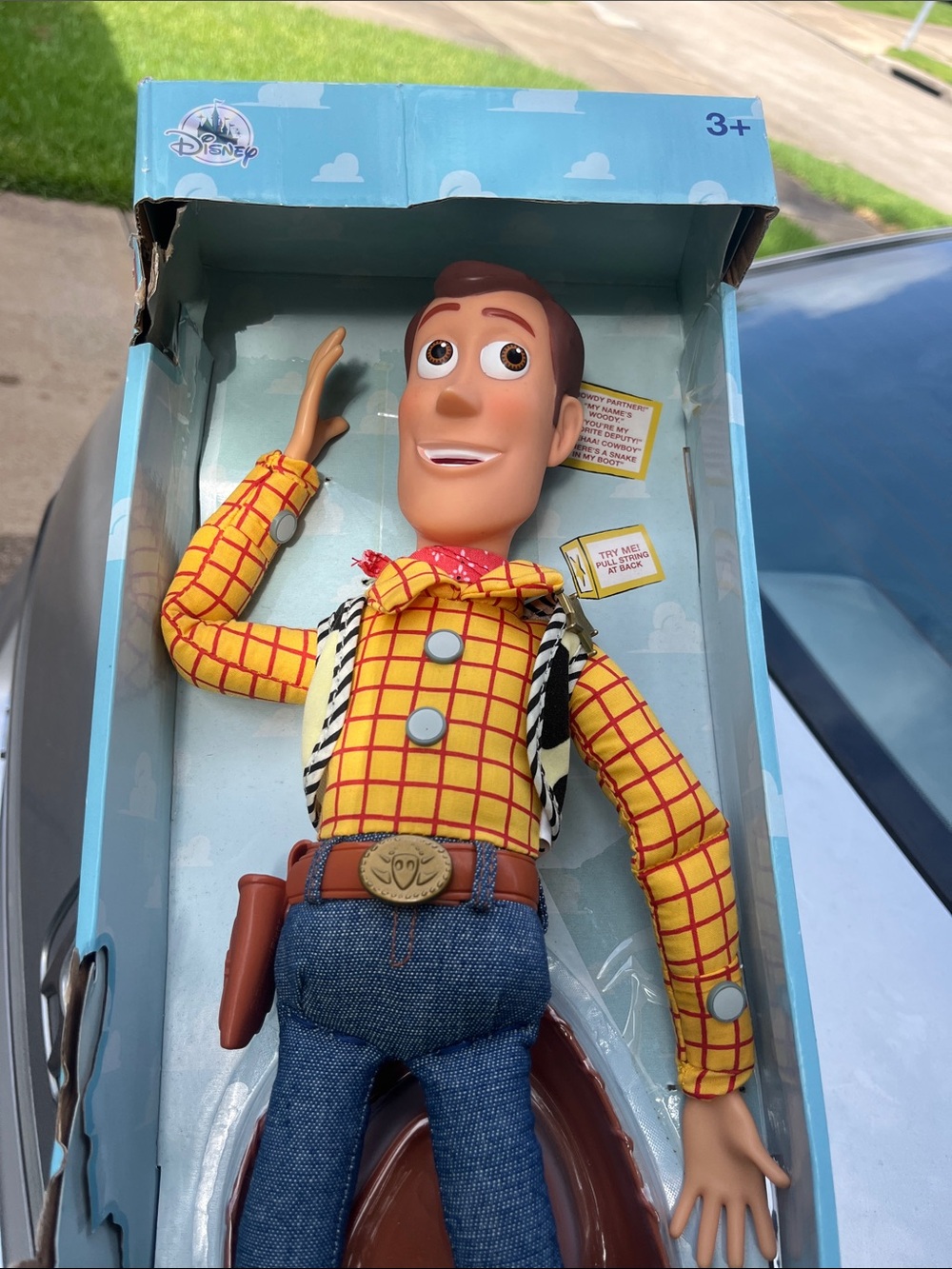 Disney talking woody  1241T 2018 -2019 year new in box rare mint condition
